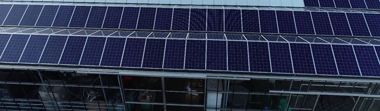 zonnepanelen op kassen in Haarlem
