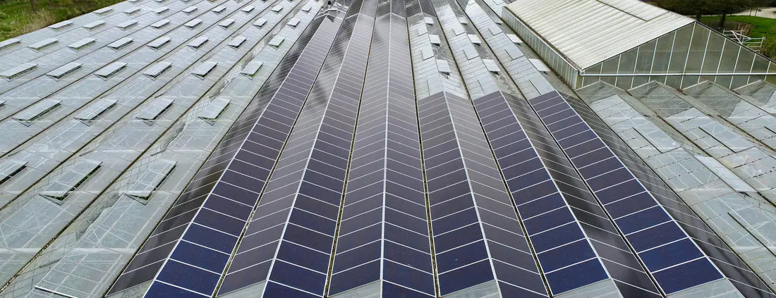 KweekZon zonnepanelen Dak Haarlem