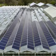 KweekZon zonnepanelen Dak Haarlem