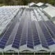 KweekZon zonnepanelen Dak Haarlem